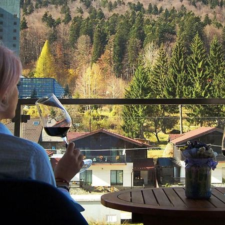 Maison Turquoise Sinaia Dış mekan fotoğraf